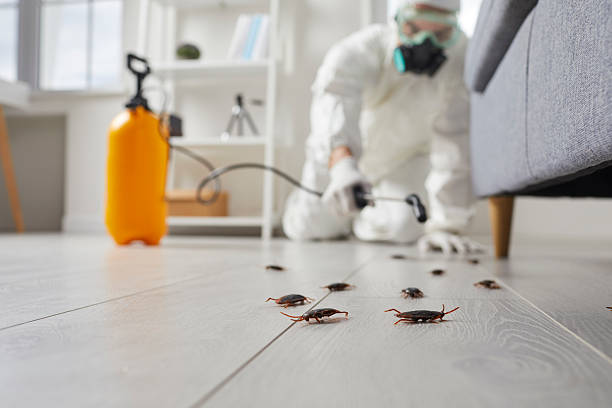 Commercial Kitchen Cockroach Control in Johns Creek