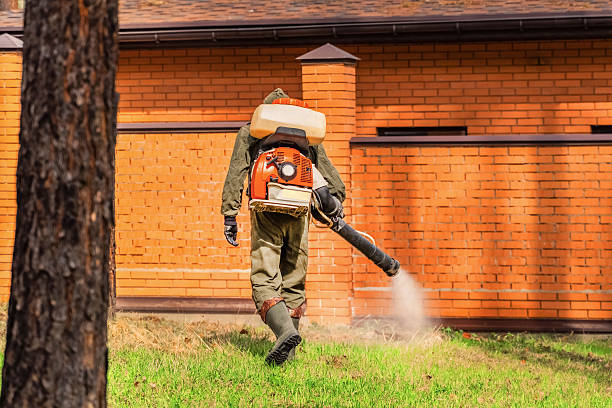 Cockroach Follow-Up and Monitoring in Johns Creek